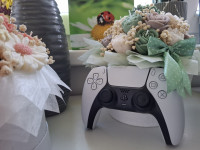 Joystick ps5, račun, jamstvo, 50.00€