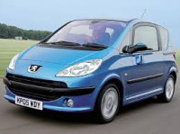 Peugeot 1007 2005-2009 rukavac (glavčina)