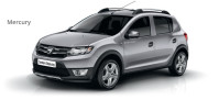 Dacia Sandero Stepway 2013-2015 rukavac (glavčina)