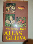 Atlas gljiva