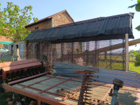 Kukuruznjak