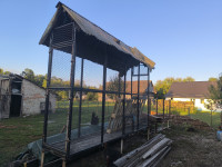 Kukuružnjak