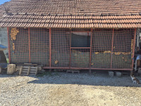 kuružnjak