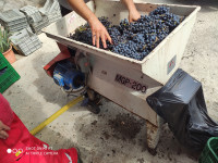 Muljača za grožđe