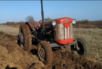 Traktor IMT 551 ( MF 65 ), plug, kultivator, sijacica