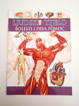 Ljudsko tijelo - Bolesti i prva pomoć