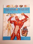 Ljudsko tijelo – Živčani sustav i krvotok
