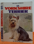 Yorkshire terrier - Giuliana Azzimonti