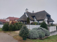 Prodaja božićnih drvaca