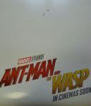 ANT-MAN and the WASP kino filmski poster plakat