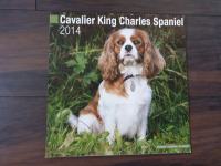 Cavalier King Charles kalendar 2014