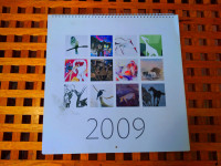 GALERIJA STRIEGL SISAK KALENDAR 2009 DJELA SLAVE STRIEGL ANIMALIZAM