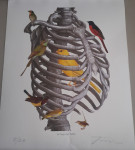 James Marsh Talk Talk art print