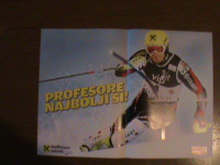 POSTER IVICA KOSTELIĆ