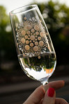Unikatne ručno oslikane čaše za šampanjac