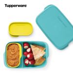 Tupperware Lunch box