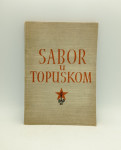 Sabor u Topuskom