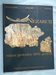 Nezakcij : nalaz grobnice iz 1981. godine (Z27)
