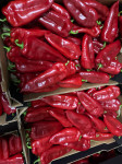 Paprika roga