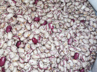 Suhi grah trešnjevac