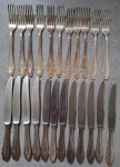 SET POSREBRENOG PRIBORA "WELLNER"