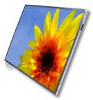 15.4" LCD ekran za laptop LP154WX4 TL A1 mat 30pina WXGA