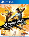 Cobra Kai The Karate Kid Saga Continues (N)