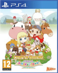 Story of Seasons Friends Of Mineral Town (N)