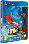 Toaplan Arcade Garage: Flying Fire Shark (N)