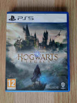 Hogwarts Legacy PS5
