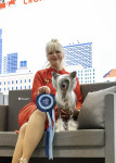 KINESKI KUKMASTI PAS~CHINESE CRESTED DOG CC TOP EXCLUSIVE