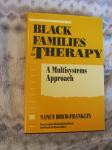 Black Families in Therapy/A Multisystem Approach (NOVO)