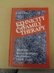 Ethnicity and Family Therapy/Second Edition (NOVO)
