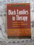 Nancy Boyd-Franklin-Black Families in Therapy-Second Edition (NOVO)