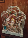 Kavez s pticama
