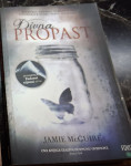 Divna propast Jamie McGuire