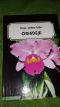 Moje sobno bilje - Orhideje