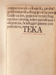 Teka, tekstovi/kritika 1: Danijel Dragojević : Iz novije kutije za lov