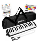CASCHA MELODICA BLACK