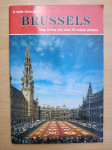 A walk through Brussels