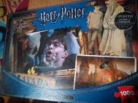 Harry Potter Puzzle - Avada Kedavra