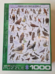 Puzzle Eurographics Birds of prey & owls, 1000 komada