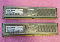 4GB (2 x 2GB) DDR2 1000 Mhz PC2-8000 OCZ Platinum Edition memorija