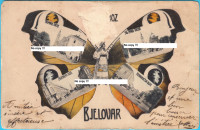 BJELOVAR (Leptir) stara razglednica, putovala 1905. godine * oštećena