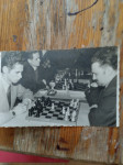 fotografijaGerhard  Ledić14:10prvenstvoušahu