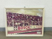 Gradski vrt u Osijeku, stadion NK Osijeka, fotografija