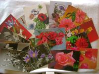 Komplet od 22 razglednice - Cvijeće - razglednica