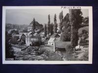 LIVNO -PRIKORIKA ,M.Kaić postcard - Foto dopisnica oko 1930