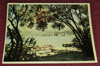 MOTIV S JADRANA, ŽIG UMAG