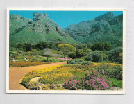 Razglednica Cape Town